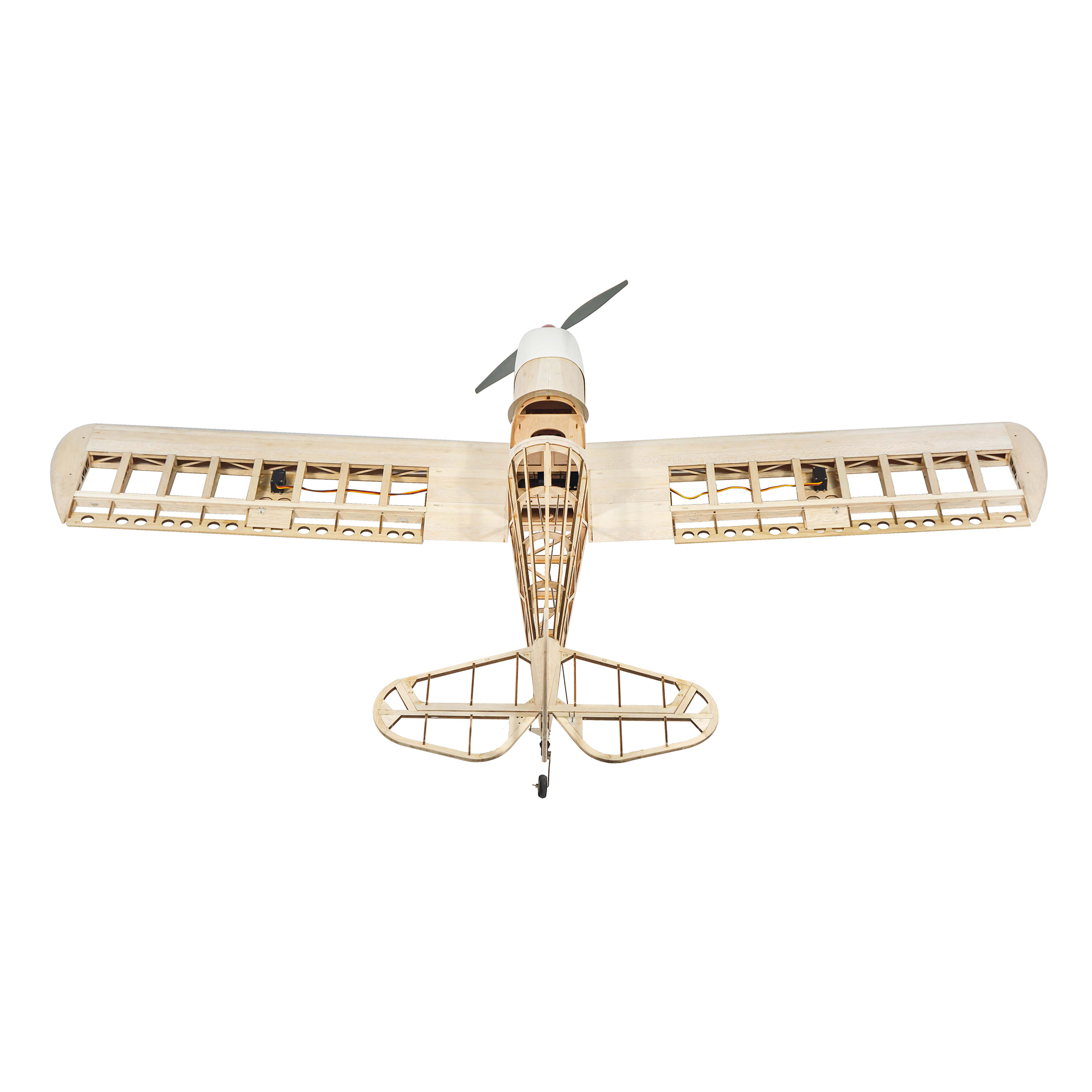 Dancing Wings Hobby 1.6M (63in - Rc Hobby Plane ulasan dan harga